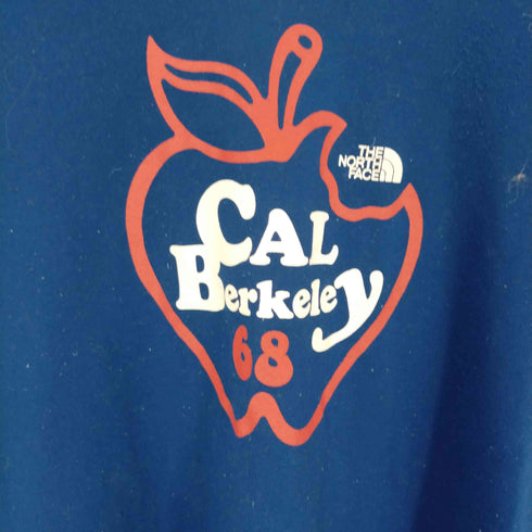 ザノースフェイス THE NORTH FACE Apple Bite Tee メンズ JPN:M