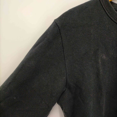 ラコステ LACOSTE 鹿の子地ロングスリーブTシャツ メンズ import:S