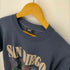 スクリーンスターズ SCREEN STARS 90S USA製 SAN DIEGO プリントTシャツ シングルステッチ メンズ import:M