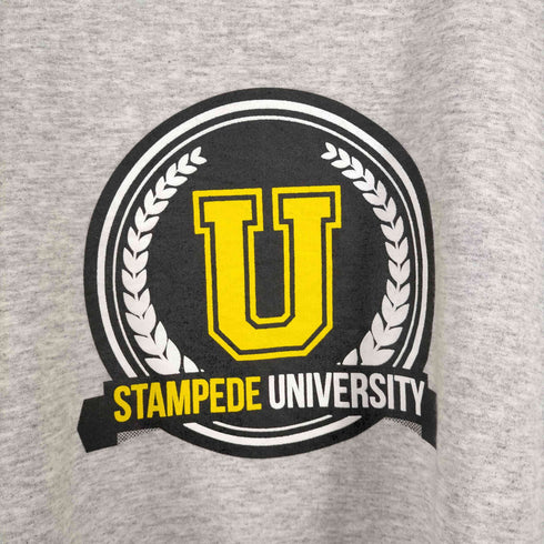 ギルダン GILDAN STAMPEDE UNIVERSITY クルーネックスウェット メンズ import:L