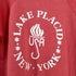 スポーツウェア sports wear USA製 LAKE PLACID NEW YORK ラグランスウェット メンズ import:L