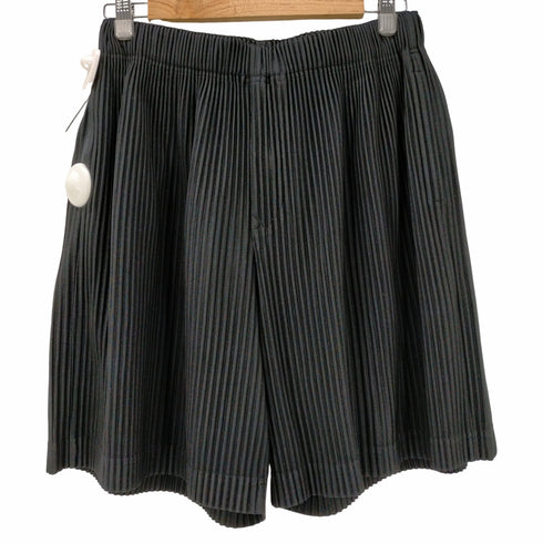 オムプリッセ イッセイミヤケ HOMME PLISSÉ ISSEY MIYAKE 19SS プリーツショーツ ハーフパンツ メンズ JPN:2