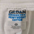ギルダン GILDAN ACTIVEWEAR フィッシュプリント クルーネックTシャツ メンズ JPN:XL