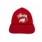 ステューシー Stussy 00s HATS ライオンメッシュキャップ メンズ FREE
