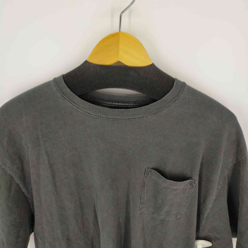 ステューシー Stussy ピグダイTEE バックロゴ メンズ JPN:L