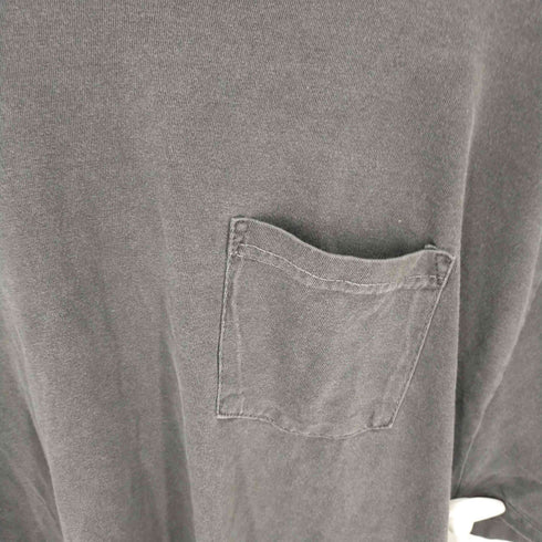 ステューシー Stussy ピグダイTEE バックロゴ メンズ JPN:L