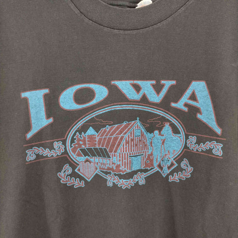 ヘインズ Hanes IOWA カレッジプリント クルーネックTシャツ メンズ import:L