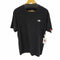 ザノースフェイス THE NORTH FACE National Flag Logo T Shirt メンズ XXL