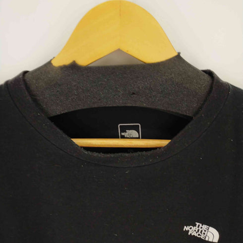 ザノースフェイス THE NORTH FACE National Flag Logo T Shirt メンズ XXL