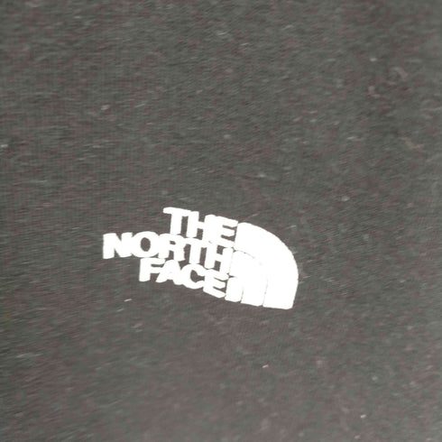 ザノースフェイス THE NORTH FACE National Flag Logo T Shirt メンズ XXL