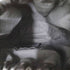 ディスコード ヨウジヤマモト discord Yohji Yamamoto 23SS Drawstring Shoulder メンズ ONE SIZE