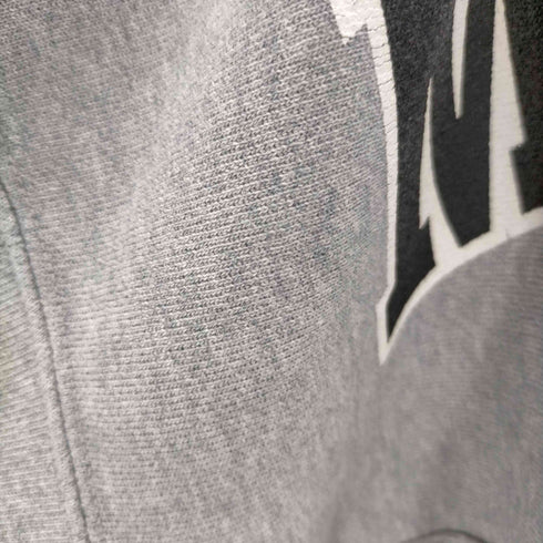チャンピオン Champion 00s PREMIUM REVERSE WEAVE MT.HOOD SWIM TEAM パーカー メンズ