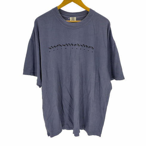 90s~00s USA製 アニマルプリント オーバーサイズTシャツ メンズ JPN:XXL