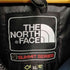 ザノースフェイス THE NORTH FACE ANTARCTICA PARKA アンタークティカ GORE-TEX メンズ JPN:XL