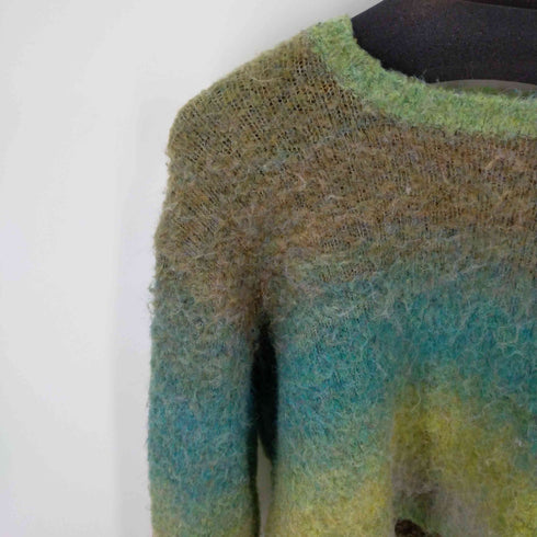 レイビームス Ray BEAMS グラデーションクルーネックシャギーニット クロップド レディース