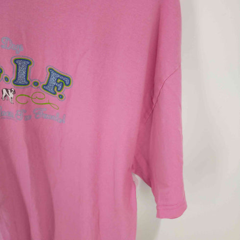 フルギ BIG DOGS ラメプリントS/S TEE レディース import:XL