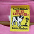 フルギ BIG DOGS ラメプリントS/S TEE レディース import:XL