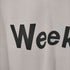 ザノースフェイス THE NORTH FACE S/S WEEKEND LIFE TEE メンズ JPN:M