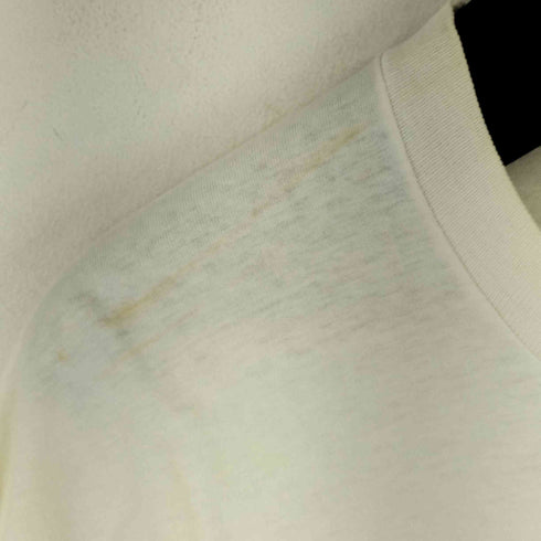 フルーツオブザルーム FRUIT OF THE LOOM 90S UPS 企業ロゴプリント S/S Tシャツ メンズ import:XL