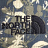 ザノースフェイス THE NORTH FACE VENT MESH SHORT ベントメッシュショーツ レディース JPN:M