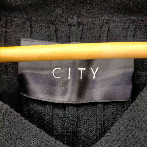 シティー CITY パネル切替Vネックコットンリブニット メンズ