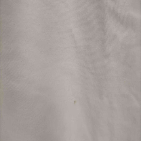 ステューシー Stussy Flames Tee メンズ import:M