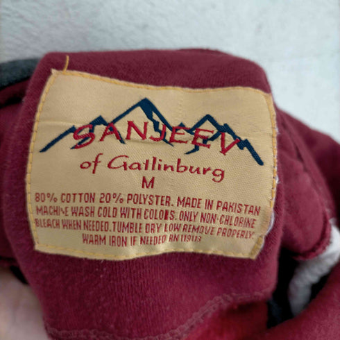 SANJEEV GATLINBURG TN ラグランパーカー メンズ JPN:M