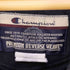 チャンピオン Champion 00s PREMIUM REVERSE WEAVE プレミアムリバースウィーブ 刺繍 プルオーバーパーカー メンズ import:XL
