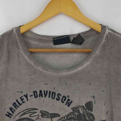 ハーレーダビッドソン HARLEY-DAVIDSON フロッキープリント クルーネックS/Sカットソー メンズ 3XL