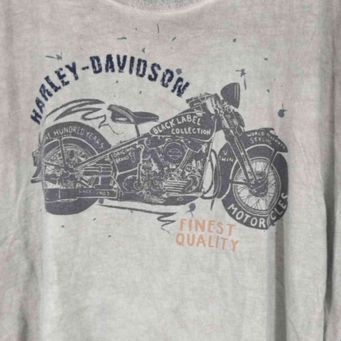 ハーレーダビッドソン HARLEY-DAVIDSON フロッキープリント クルーネックS/Sカットソー メンズ 3XL