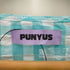 プニュズ PUNYUS ギンガムチェックワンピース レディース 1