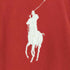 ポロバイラルフローレン Polo by RALPH LAUREN ビッグポニー刺繍 スペイン ESPANA ドライバーズニット メンズ import:XL