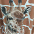 RAINFOREST CAFE USA製 大判プリント GIRAFFE キリン アニマル プリント S/S Tシャツ ワンピース レディース OSFM