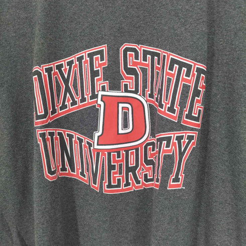 チャンピオン Champion DIXIE STATE D UNIVERSITY カレッジプリント Tシャツ ビッグサイズ メンズ import:XXL