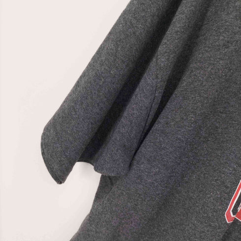 チャンピオン Champion DIXIE STATE D UNIVERSITY カレッジプリント Tシャツ ビッグサイズ メンズ import:XXL