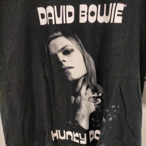 フォト TEE david bowie hunky dory メンズ JPN:XL