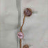 ポールスミス Paul Smith 00SS BUNNY ROGER COLLECTION コットンサテン3Bジャケット メンズ import:M