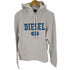 ディーゼル DIESEL USED加工 スウェットパーカー メンズ JPN:L