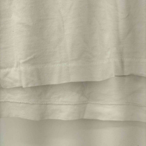フルーツオブザルーム FRUIT OF THE LOOM 90S MADE IN USA 魚プリント S/S Tシャツ メンズ import:L