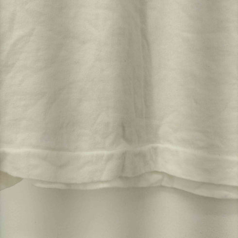 フルーツオブザルーム FRUIT OF THE LOOM 90S MADE IN USA シングルステッチ フロントプリント S/S Tシャツ メンズ import:L