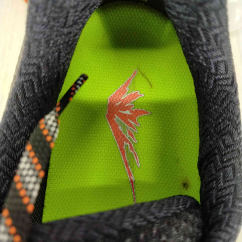 アシックス ASICS トレイルランニングシューズ ゲルフジ トラブーコ 5 G-TX メンズ JPN:29