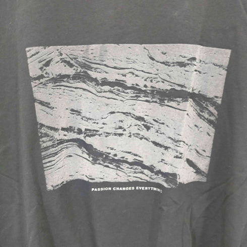 ザラ ZARA フロントプリントTシャツ メンズ JPN:L