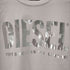 ディーゼル DIESEL コットンジャージー メタリックロゴ S/S Tシャツ レディース import:S