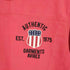 アヴィレックス AVIREX 半袖 ヴァーシティー ワッペン S S VARSITY TEE メンズ M
