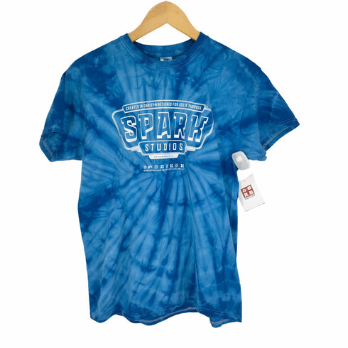 カラートーン colortone 両面プリントタイダイ染Tシャツ メンズ JPN:M