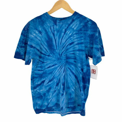 ギルダン GILDAN EASTBURY バックプリントタイダイ染Tシャツ メンズ JPN:M