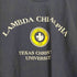 ヘインズ Hanes LAMBDA CHI ALPHA メンズ JPN:L
