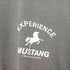 ヘインズ Hanes EXPERIENCE MUSTANG メンズ JPN:L