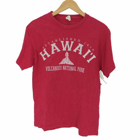 00S DELTAボディ HAWAII カレッジプリント S/S Tシャツ メンズ import:M