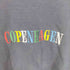 DANIMARK COPENHAGEN 刺繍 クルーネック スウェット メンズ import:S
